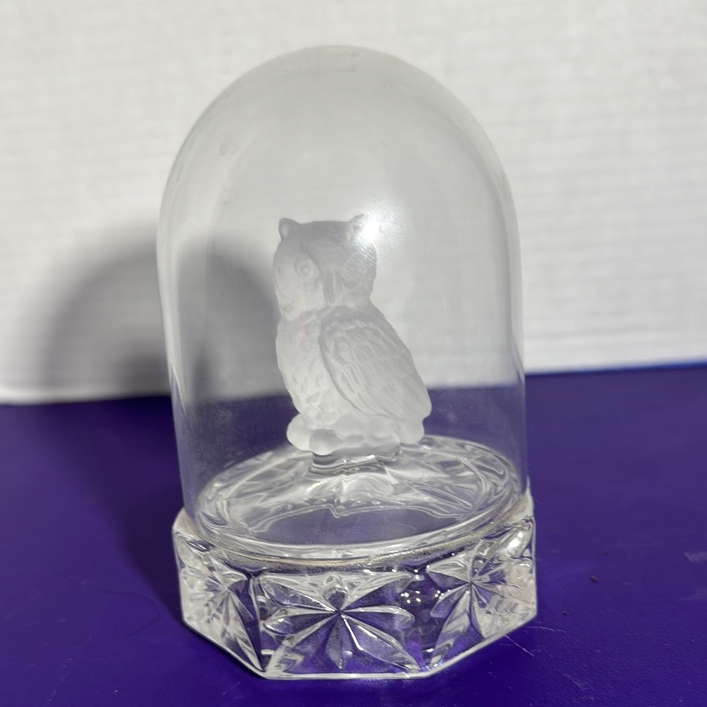 Crystal Owl Figurine in Glass Dome